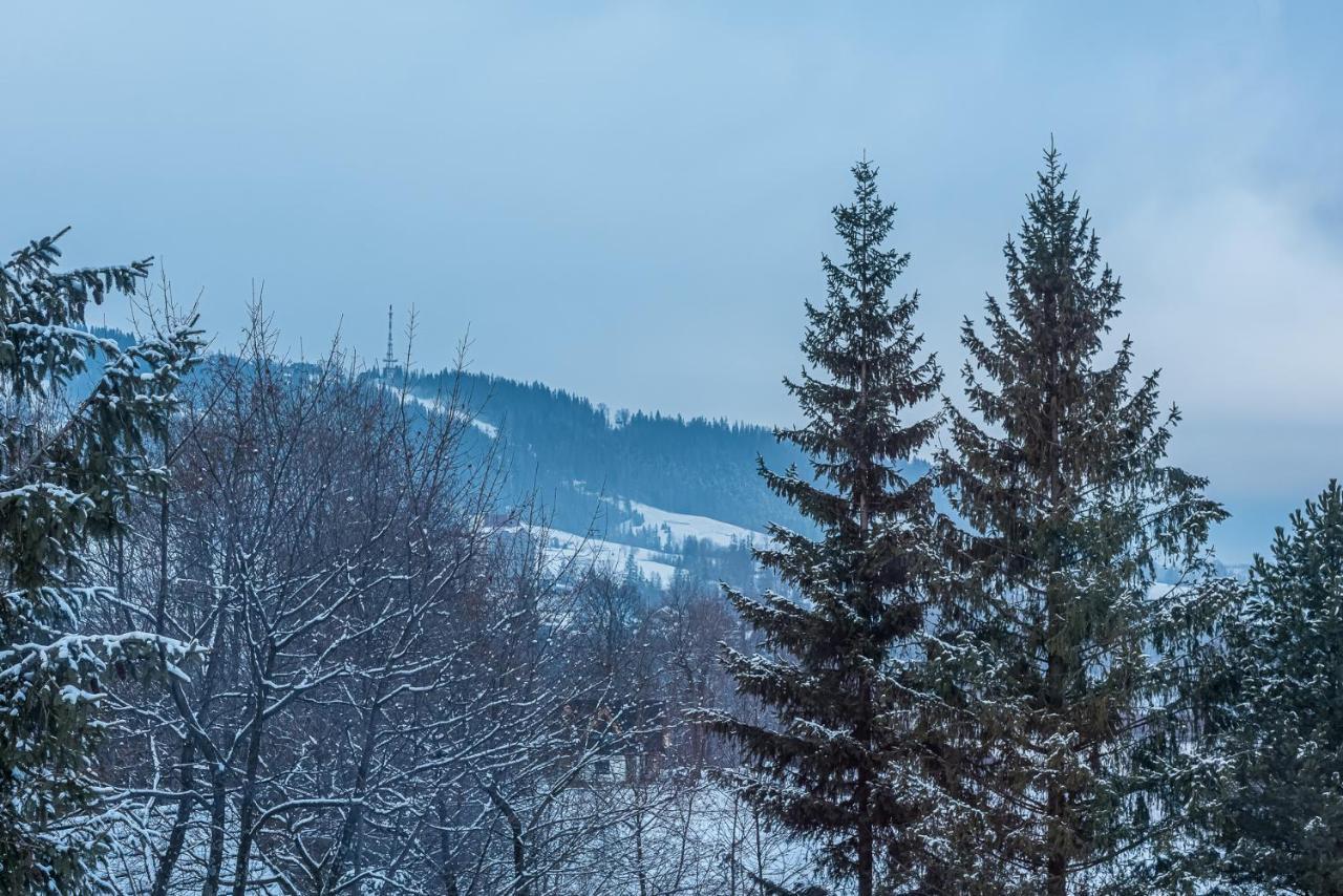 Zakopianskie Widoki Закопане Экстерьер фото